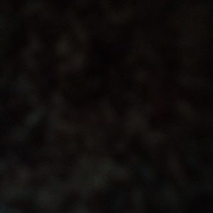 Meet your Posher, Jeffery